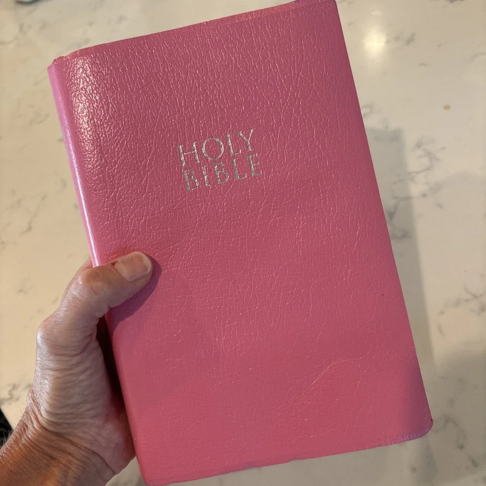 Holy Bible New International Version Zondervan Pink Faux Leather Cover 2011